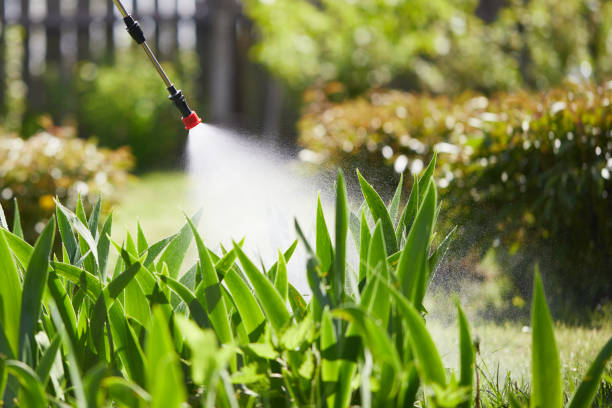 24/7 Emergency Mosquito Control experts in Santee, SC