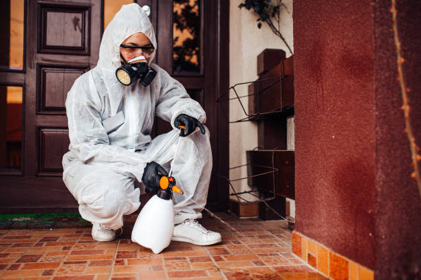 Reliable Mosquito Control contractor in Santee, SC by Show Me Pest Control